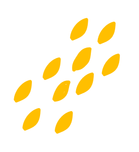 Image shape